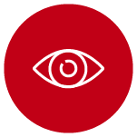 Vision Insurance